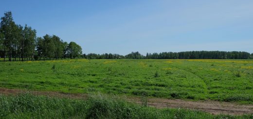 Tästä se alkoi – Valkeasaaresta tuli 9.-10.6.1944 maanpäällinen helvetti suomalaisille sotilaille. Kuva: Matti Hyvärinen