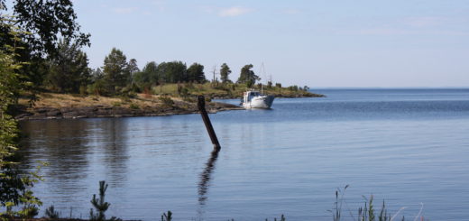 Heinäsenmaan rantaa heinäkuussa 2018.