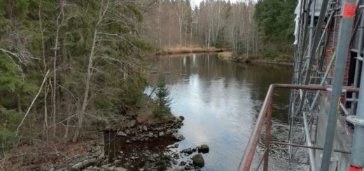 Laatokan lohi pääsee nousemaan Kangaskosken alapuolelle, sen nousua on seurattu veteen asennetulla kameralla. Venäjän rajalle on tästä matkaa muutama sata metriä.